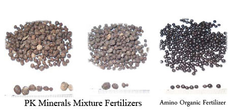 Fertilizers Amino