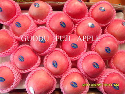 Fuji Apples