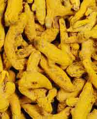 Turmeric