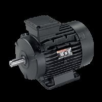 Three Phase Lv Motors