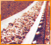 Fire Resistant Conveyor Belts