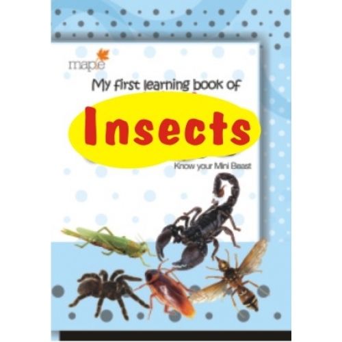 My First Learning Book Of Insects