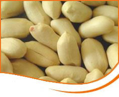 Blanched Peanuts Without Skin