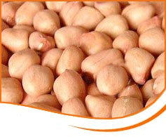 HPS Groundnut Kernels