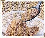 Whole Fenugreek Seeds