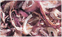 Dehydrated Kibbled Red Onions