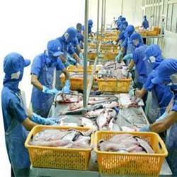 Seafood Processing Chemicals