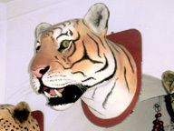 Bengal Tiger Sculptures