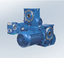 Worm Gear Motors