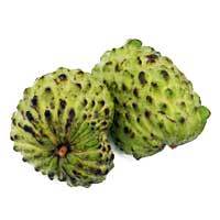 Premium Fresh Custard Apple