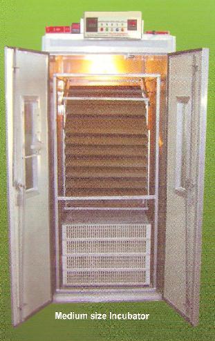 Medium Size Poultry Incubators