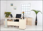 Exotic Office Executive Tables