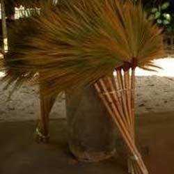 grass brooms