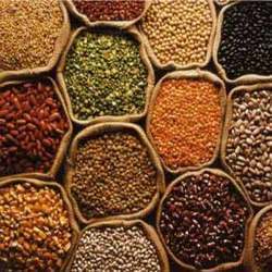 Indian Pulses