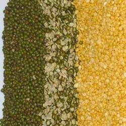 Moong Dal - Organic, Nitrogen Flushed Packaging | Unadulterated, Chemical-Free, Hygienically Grown