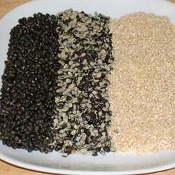 Urad Dal - Superior Taste and Quality | Hygienically Processed with Automated Machinery