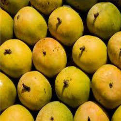 Bangalore Mango