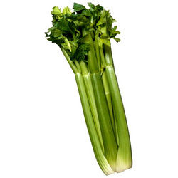 Celery