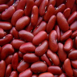 Kidney Beans