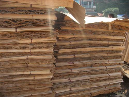 Eucalyptus Core Veneer