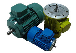 Flange Mounted Motors