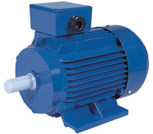 Y2 Series Motors