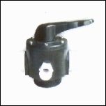 Ion Valves