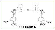 Turmeric Extract