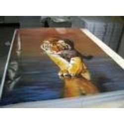 Poster Printing Service