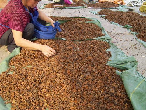 New Crop Star Anise