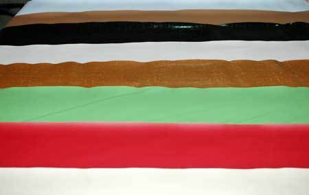 PVC & PU Synthetic Leather Cloth