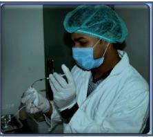 Acute Toxicity Studies