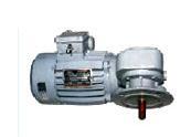 gear motors