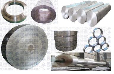 Steel Forgings