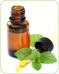 Mentha Arvensis Oil