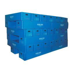 Polypropylene Box