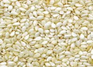 Hulled White Sesame Seeds