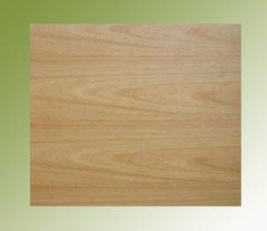 HPL Plywood