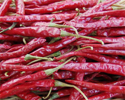 Dry Chillies