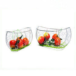 Oval Shape Fruit Basket