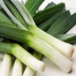 Leek