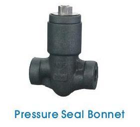 Pressure Seal Bonnet Check Valves