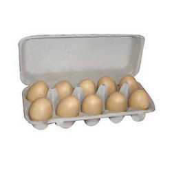 10 EGG Cartons