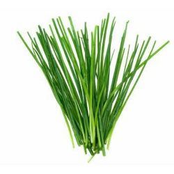 Chives - Fresh Thin and Long Leaf, 6 to 20 Inches | Ideal for Egg, Cheese, and Potato Dishes