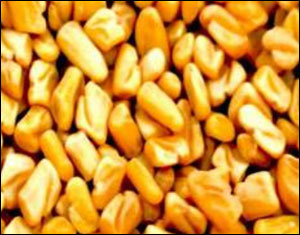 Fenugreek Seeds