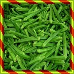 Lady Finger - Fresh Green Vegetables | Nutritive Probiotics for Healthy Cooking and Hair Nourishment