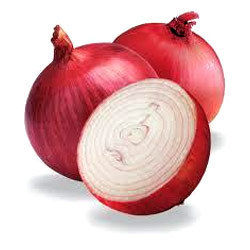 Onion