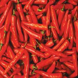 Red Chilli