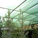 Top Quality Greenhouse Structures Nets