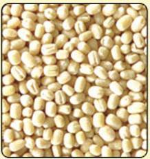 Urad Dal